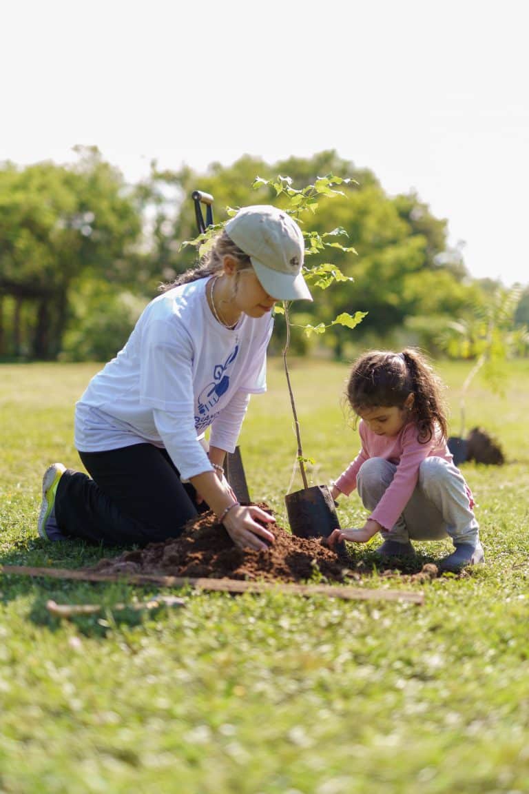 ‘Paraguay Planta’ busca sumar voluntarios en todo el país en una nueva jornada de plantación de árboles