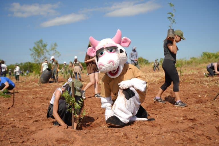 A Todo Pulmón suma miles de nuevos árboles en la octava edición de Paraguay Planta