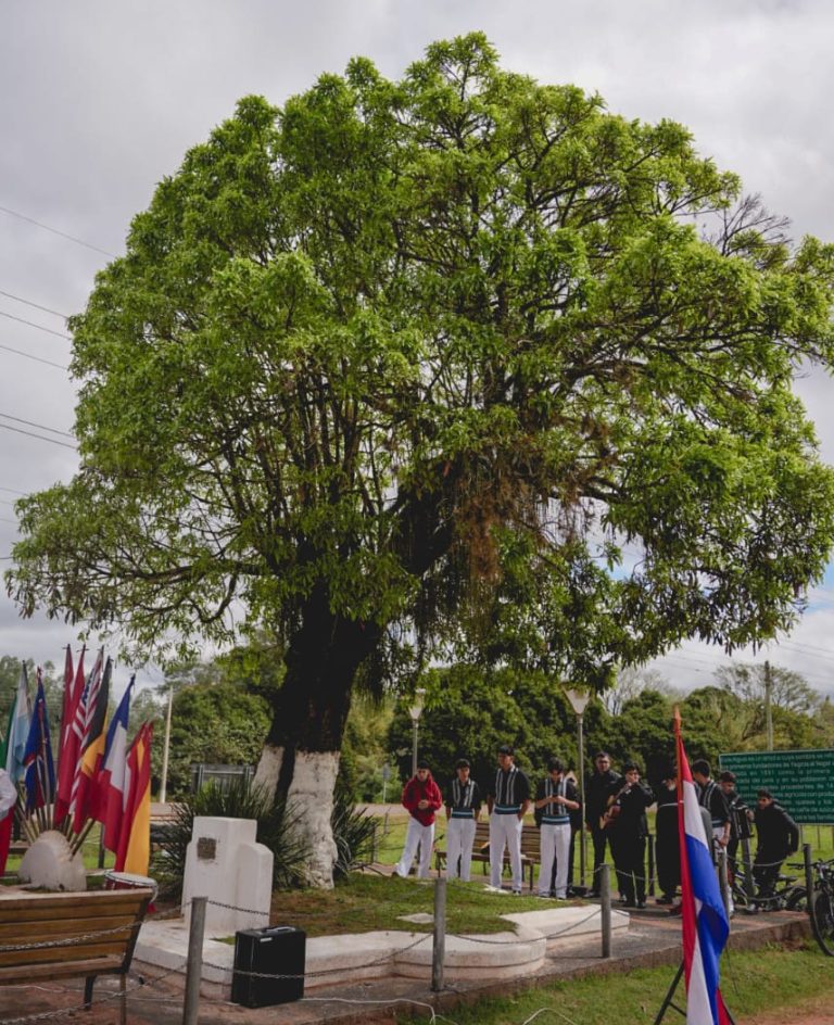 Postulá a tu árbol favorito en “Colosos de la Tierra”