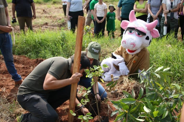 Suman más árboles en la novena edición de Paraguay Planta