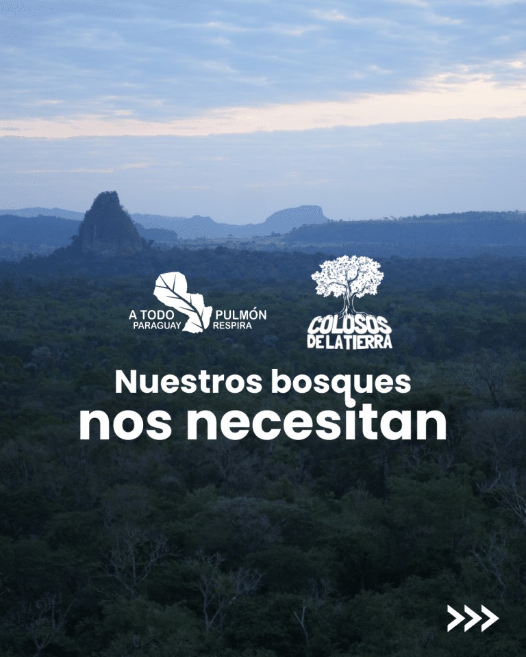 A Todo Pulmón encabeza la campaña «Nuestros bosques nos necesitan» tras los incendios en el Chaco