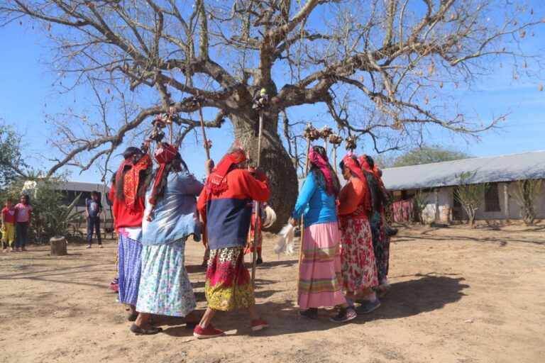 Vuelve la mayor campaña ambiental del Paraguay: Colosos de la Tierra