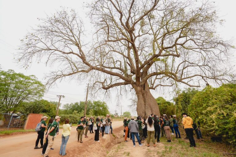 Colosos de la Tierra invita a su maratón de cierre de inscripciones