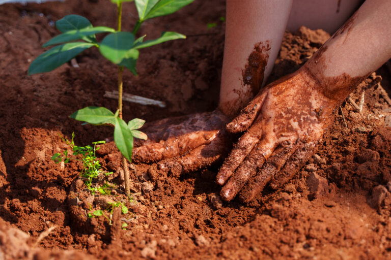 Un nuevo “Paraguay Planta” exitoso suma 700 arbolitos plantados en la Reserva Guarapi